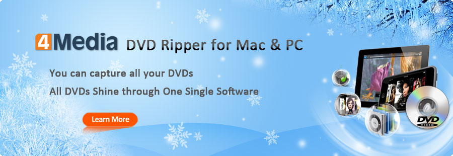4Media DVD Ripper