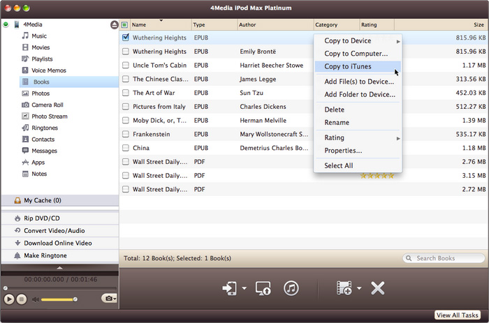 4Media iPod Max Platinum for Mac
